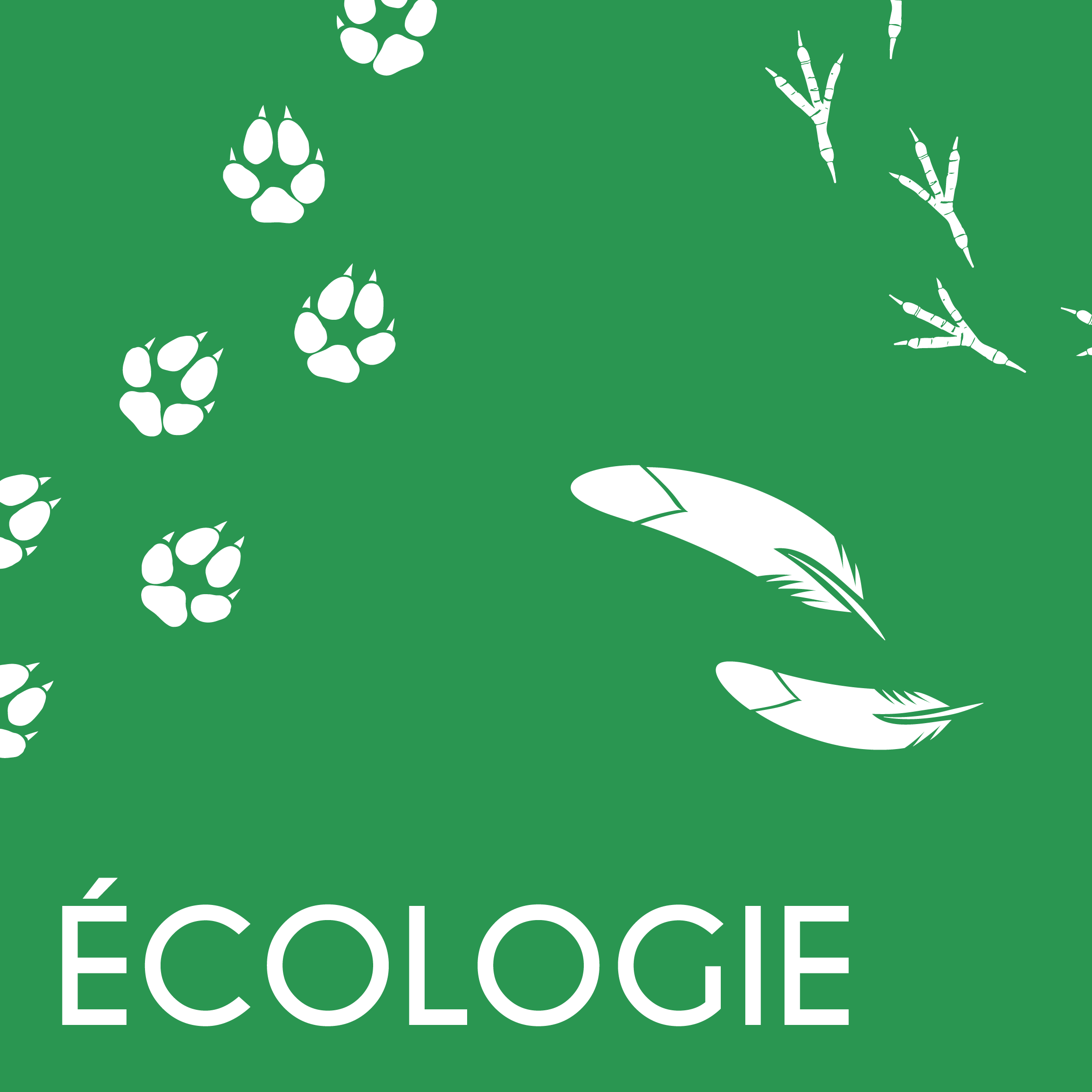 LS_mail_carré Ecologie